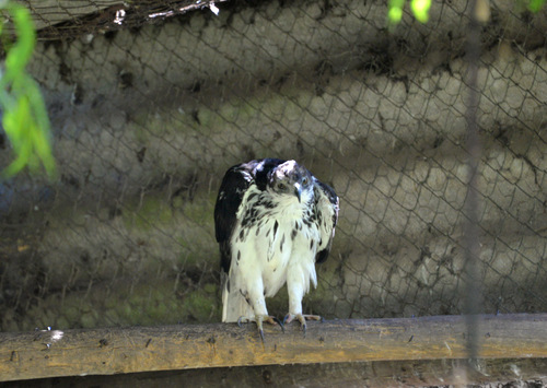 World of Birds Wildlife Sanctuary.